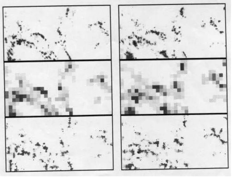 Fig. 9. Model output for full algorithm (a and b: 14/7/95 at 22:00 and 23:00) with for each: the observed field at pixel resolution at the top, the aggregated observed field in the middle and the modelled disaggregated field at the bottom.