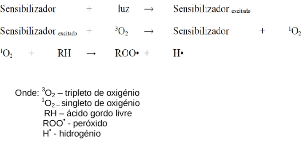 Figura 2.3. Representação do mecanismo de fotoxidação (fonte:  Shahidi e Wanasundara,  1998 )