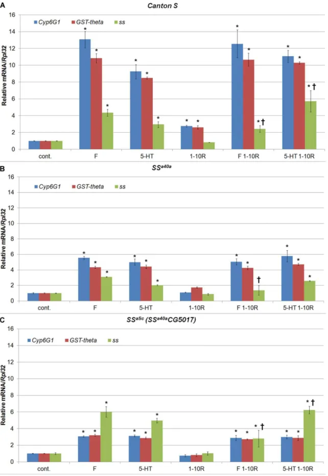 Figure 3. Effect of X-rays and pharmacological agents on Cyp6g1, GST-theta (CG1681) and ss mRNA expression