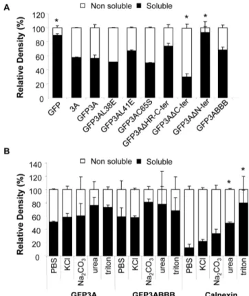 Figure 5. Solubility of GFP3A fusion proteins. A) Distribution of fusion proteins in soluble or insoluble fractions of transfected cells