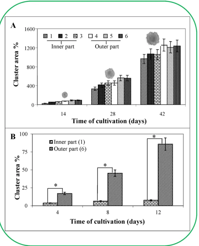 Fig 5. The growth of six regions of the clusters. The growth of six regions of the ESE clusters was characterised by their area in culture medium at 2-week intervals (A) over 6 weeks (The average weight of a cluster was 40 mg at the beginning of the experi