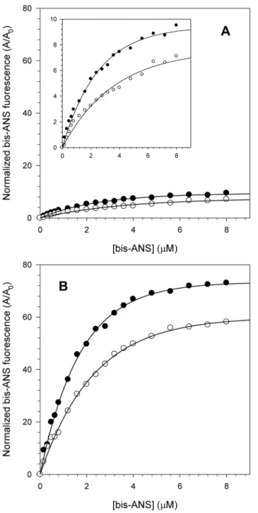 Fig. 4. Interaction of the fluorescent extrinsic probe bis-ANS with NS3 at pH 6.4 and 7.2