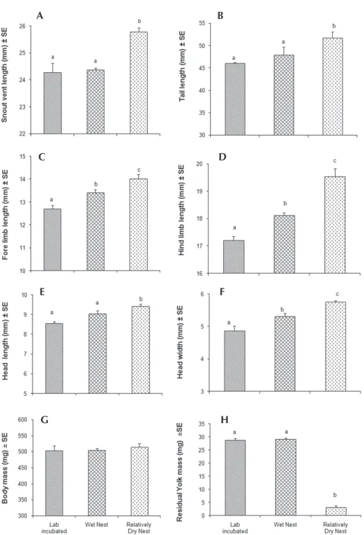 Figure 1.  Mean SVL (A), tail length (B), forelimb length (C), hind­limb length (D), head length (E), and head width (F),  body  mass  (G)  and  residual  yolk  mass  (H)  of  C