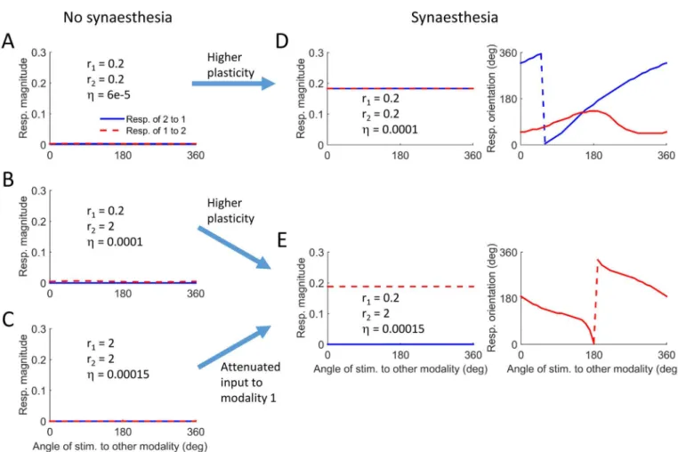 Fig 7. Different scenarios for the evolution of synaesthetic mapping in the model. A-C