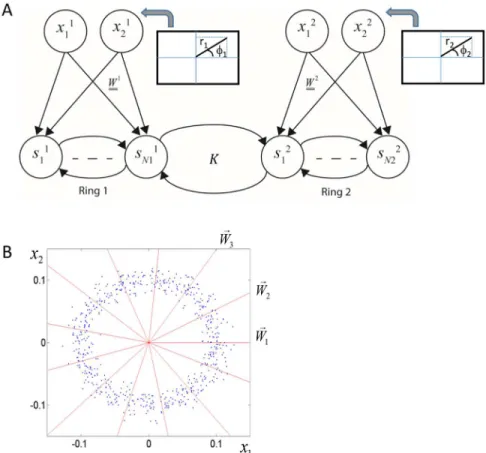 Fig 7 summarizes the results from 5 simulations and demonstrates the different scenarios that can lead to the evolution of synaesthesia