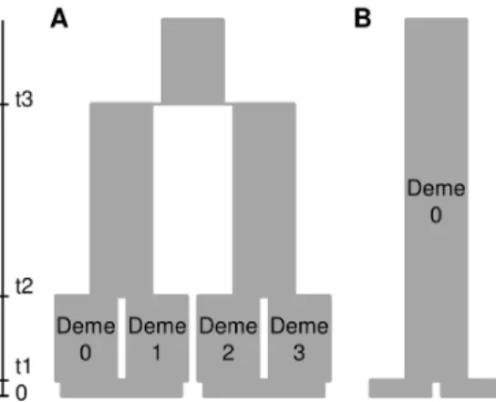 Table 2. Tests of population expansion and patterns of isolation by distance in 14 Afrotropical tree taxa.