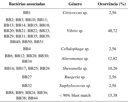 Tabela  II:  Identificação das  bactérias  associadas  isoladas  da  macroalga  Bifurcaria  bifurcata  relativamente ao seu género