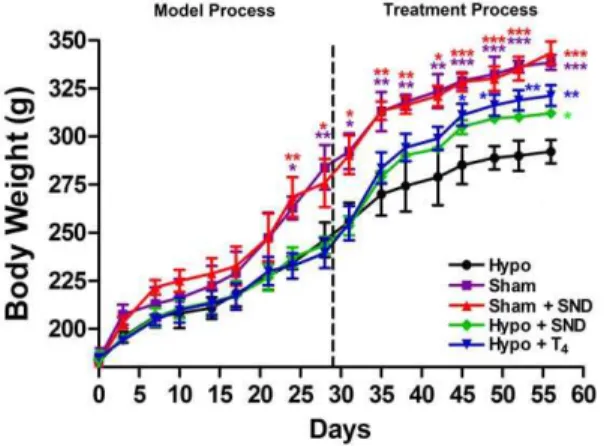 Figure 1. The Body Weight (BW) profiles during the model and treatment periods. (box represents Sham group, triangle represents Sham + SND group, dot represents Hypo group, diamond represents Hypo + SND group, inverted triangle represents Hypo + T 4 group)