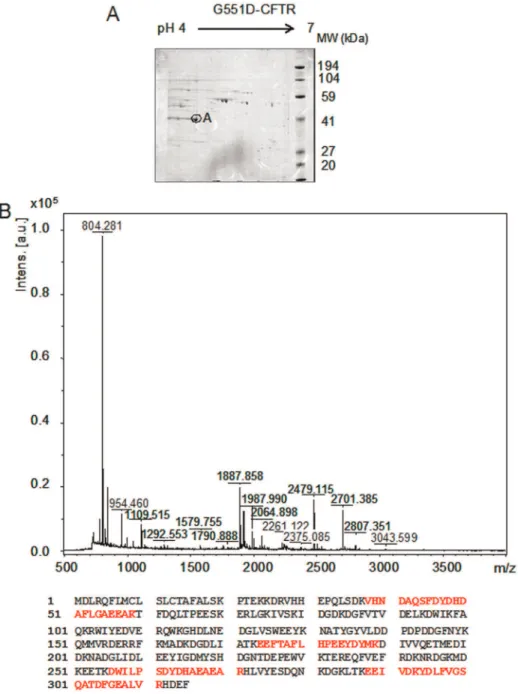 Table 1. Identification of spots A by Mass Spectrometry.