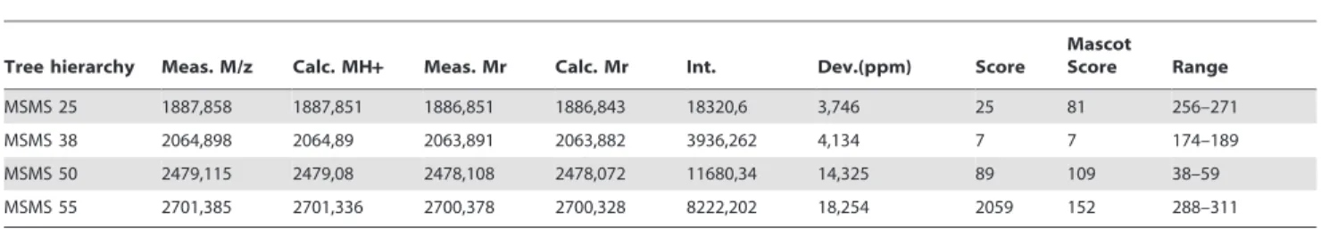 Figure 3. More calumenin is bound onto G551D-CFTR than onto Wt-CFTR. A, Example of detection of calumenin in Wt-CFTR and G551D expressing cells, assessed by western blotting using whole cell lysates