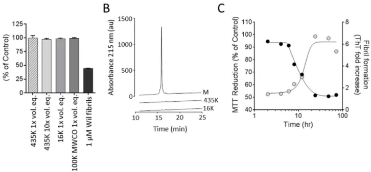 Fig 3. Metabolic dysfunction of cardiomyocytes is dependent on the presence of rV λ 6Wil fibrils