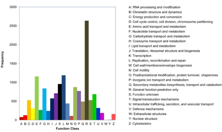 Figure 1. COG functional classification of the beet armyworm transcriptome. Orthologous analysis of 18,592 Trinity contigs was performed using the Blastall software against Cluster of Orthologous Groups (COG) database