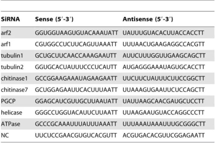 Table 2. Primers used in the experiments.