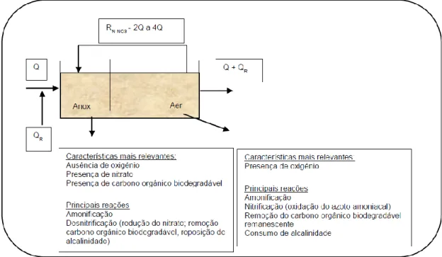 Figura 8 - Sequência reator anóxico – reator aeróbio. Principais características e reações associadas  (Mano, 2014) 