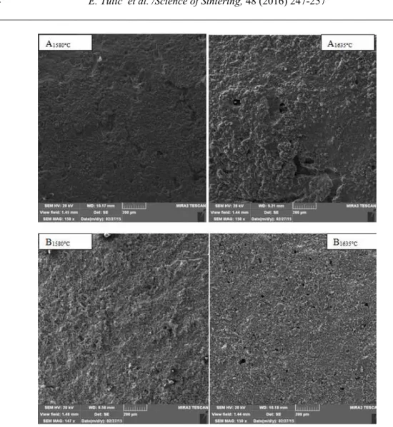 Fig. 10. Pores morphology on fracture surface of specimens. 