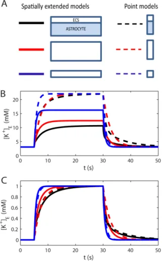 Figure 8. Model comparison. (A) Six model versions, three spatially extended models (solid lines), and three point models (dashed lines).