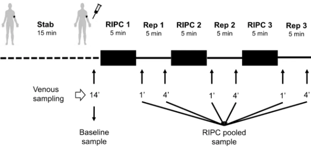 Table 1. Repartition on every iTRAQ channel of the samples at baseline and after RIPC for the six donors.
