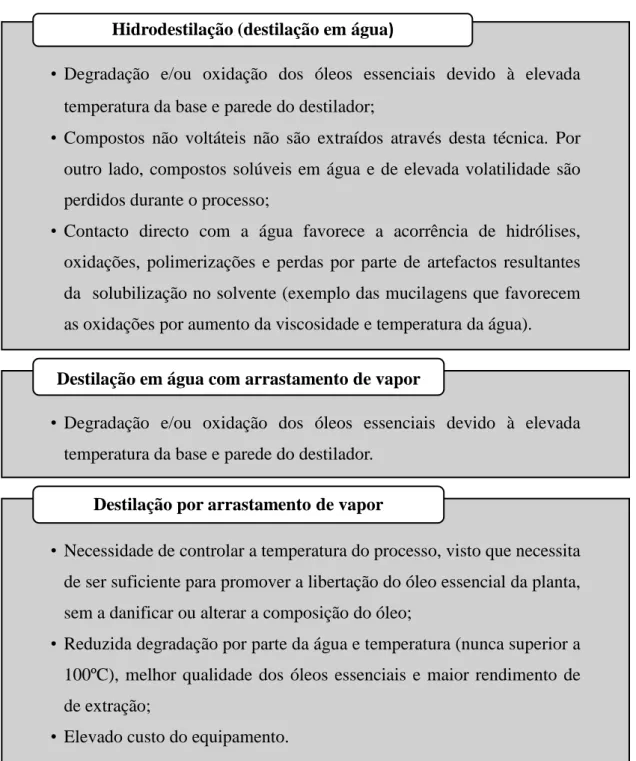 Figura 1. Exposição das vantagens e desvantagens inerentes às técnicas de destilação (Cunha, et al.,  2010; Sefidkon, et al., 2007; Richter e Schellenberg, 2007)