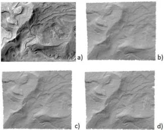 Figure 6 – Enlargement of DTM generation results in the  central patch of Area01 (about 350 x 300 m): a) original image; 