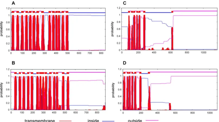 Fig 2. Transmembrane segment prediction analysis. TMHMM plots for S. aureus MprF (A), P