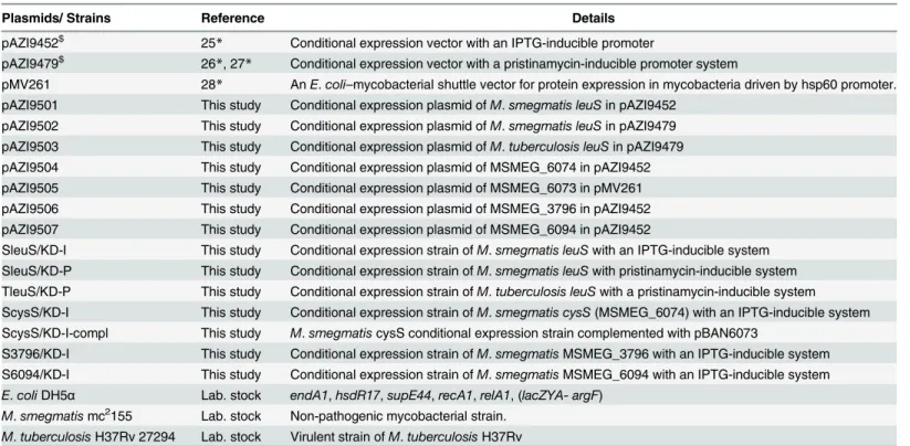 Table 1. List of plasmids and strains used in this study.