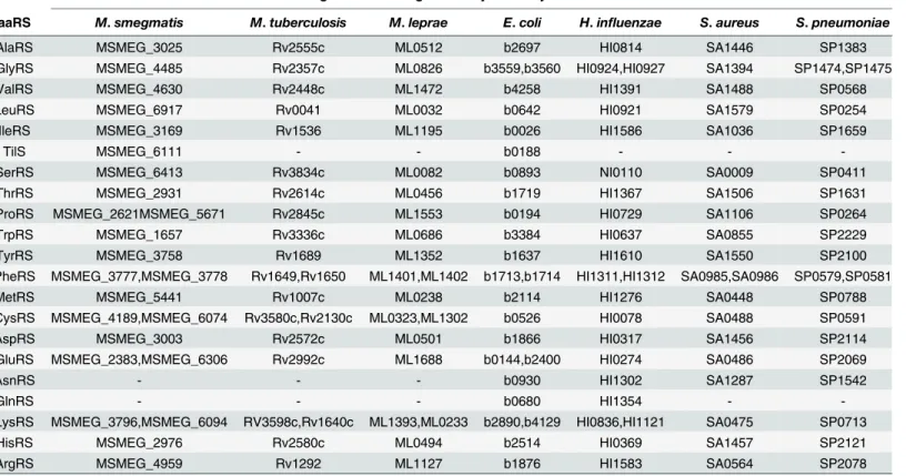 Table 2. Genes encoding aminoacyl-tRNA synthetases * .