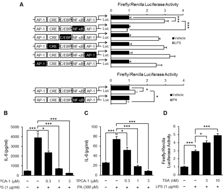 Figure 7. Effect of TSA on LPS-induced NF- k B-dependent transcriptional activation. OP9 preadipocytes were transiently transfected with luciferase gene constructs with a wild-type IL-6 promoter or that including a mutation in putative transcription factor