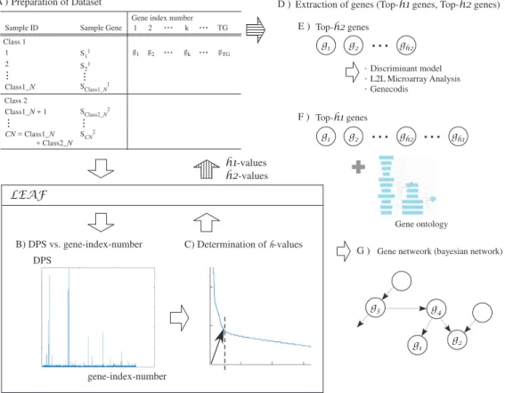 Fig. 5. Overview of the gene analysis method.