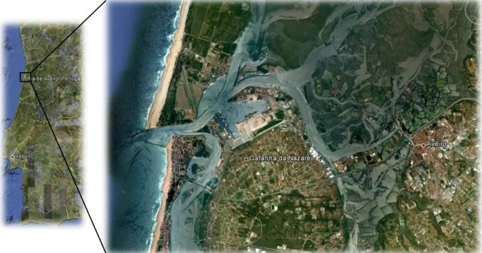 Figura 16: Ria de Aveiro, os seus canais e a embocadura da barra ; site:www.googleearth.com.