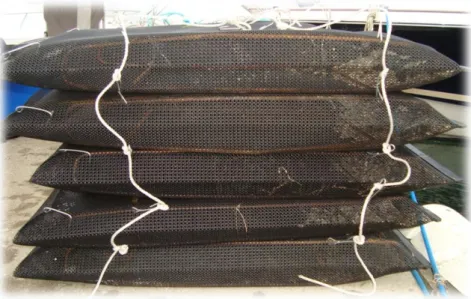 Figura  19:  Conjunto  de  cinco  sacos  ostreícolas  com  armação  metálica  interna  preparados  para  o  projecto