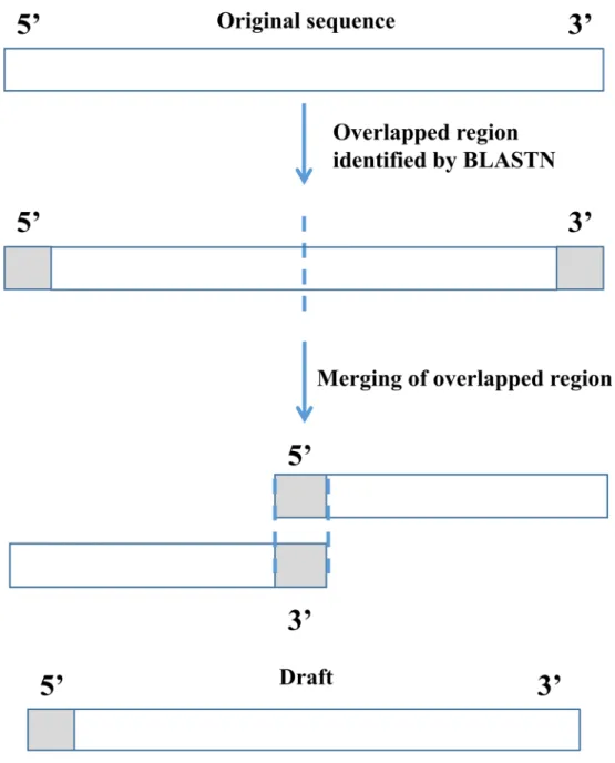 Fig 2. Illustration of checking for boundary overlap to finish the mitochondrial genome