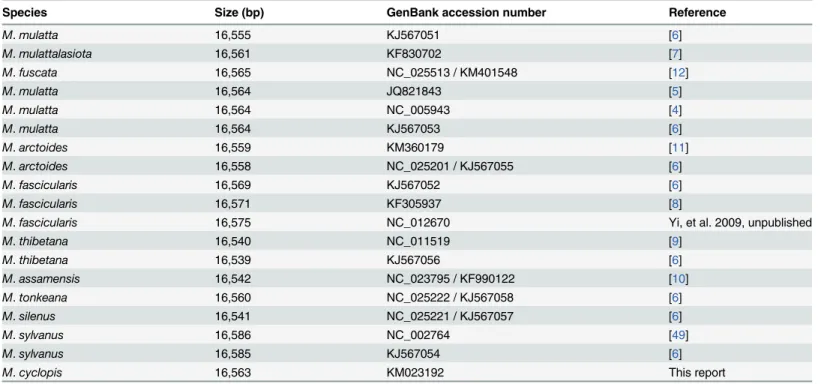 Table 2. Comparison of mitochondrial size between macaque species.