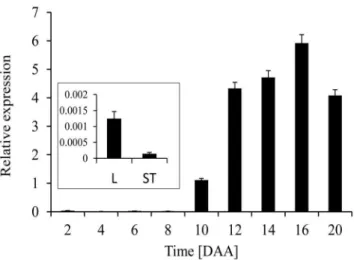 Figure 3. Real-time qPCR analysis of HvBT1 in different tissues.