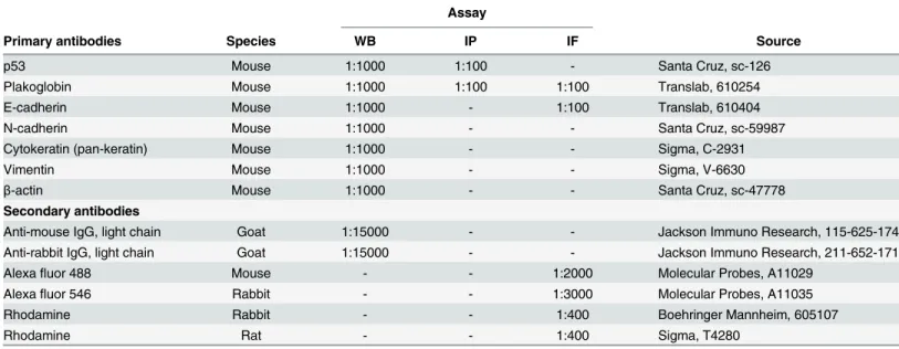 Table 1. Antibodies and their respective dilutions in specific assays.
