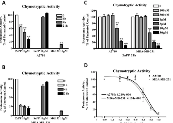Fig 3. ZnPP inhibits chymotryptic proteasome activity in A2780 and MDA-MB-231 cells. A2780 (A) or MDA-MB-231 (B) cells were treated with 10 μM ZnPP, SnPP or MG132 for 4 or 21 hours