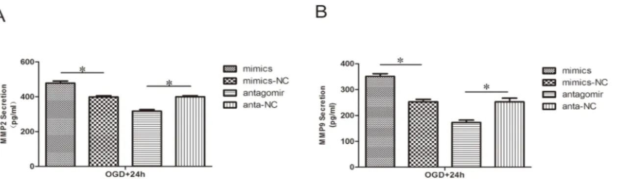 Fig 6. Effect of miR-21 on MMP2 and MMP9 secretion. ELISA reveals the different secretion levels of MMP2 (A) and MMP9 (B) between the treatment groups and respective negative groups