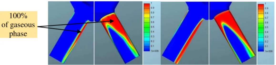 Fig. 16. Defined mass flow: Volume fraction of gaseous phase for mesh 1 (left)   and mesh 2 (right)