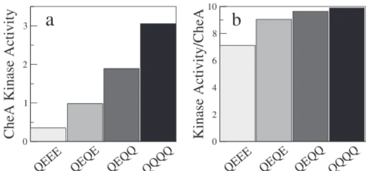Figure 3. Kinase Active Receptors Are in CheA-Bound Trimers of Dimers (A) CheA kinase activity at zero MeAsp concentration versus K i , defined as the MeAsp concentration required to reduce activity by one-half, for Tar receptors in different modification 