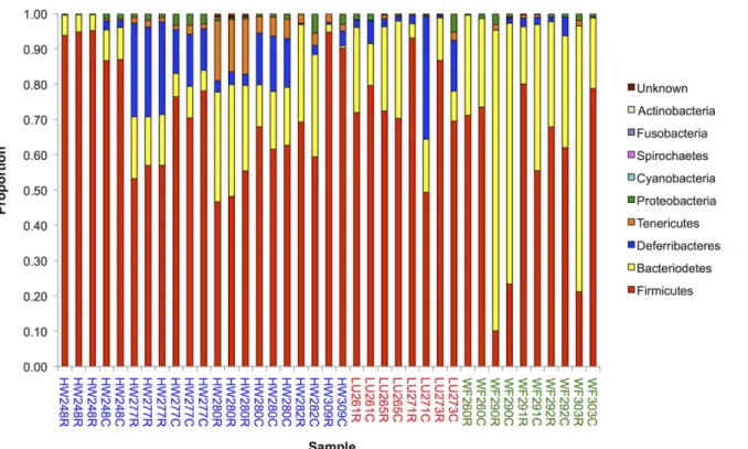 Fig 1. Bacterial Phyla. A histogram showing the relative proportion of different bacterial phyla present in 39 samples from 14 mice, where the two letter prefix denotes the location from where the mouse was captured and the three digit number is the unique