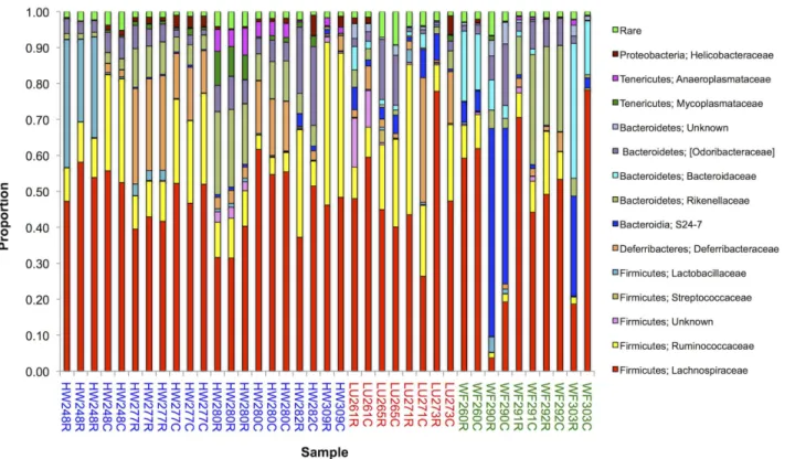 Fig 2. Bacterial Families. A histogram showing the relative proportion of different bacterial families present in 39 samples from 14 mice, where the two letter prefix denotes the location from where the mouse was captured and the three digit number is the 