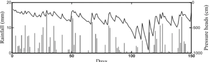 Figure 1. Rainfall pattern (bar plot) and synthetically generated