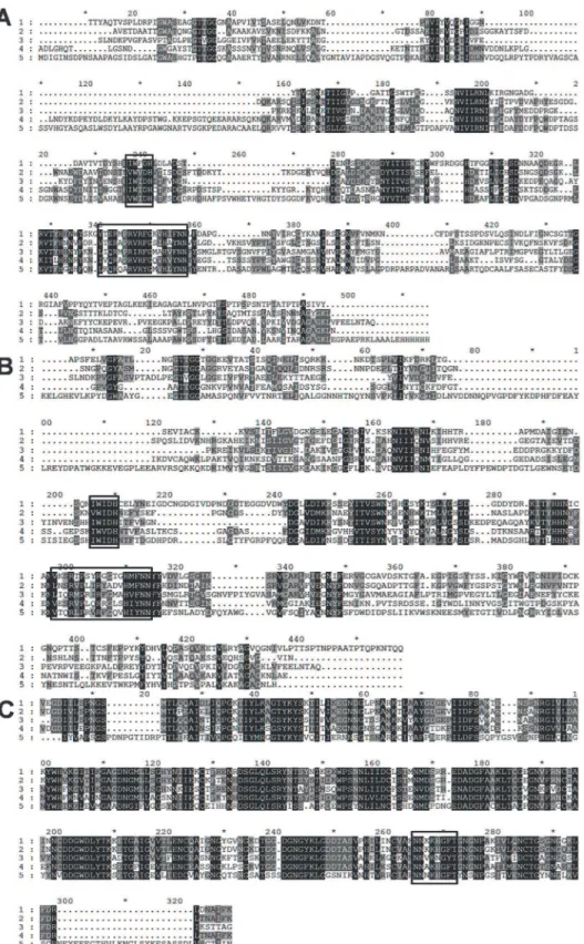 Figure 2. Multiple Sequence Alignment of family 1 and 9 polysaccharide lyases performed by CLUSTALW program and viewed in GeneDoc ver2.7
