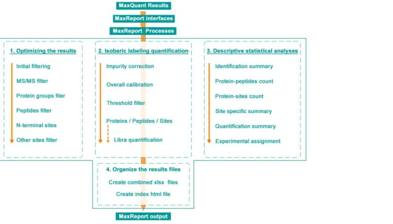 Fig 1. Overview of the MaxReport workflow.