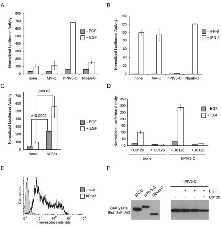 Figure 2. Enhanced activation of MAPK/ERK pathway and inhibition of IFN-a/b signaling by hPIV3-C