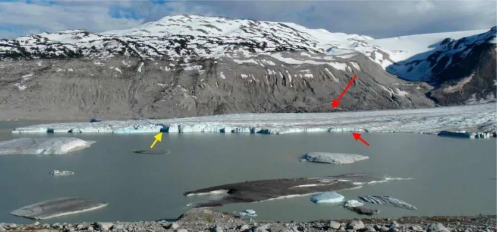 Figure 5. Photograph of Bridge Glacier terminus, 18 June 2013. Note the inflection point (red arrow), which indicates flotation