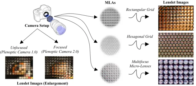 FIGURE 6. Examples of lenslet images captured using different LF camera setups and MLA structures.