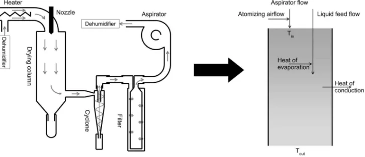 Figure 1. Schematic representation of a spray dryer (left) and the simplified spray dryer model (right)