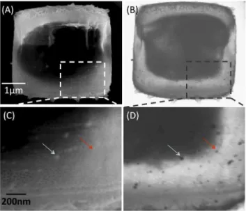 Figure 4. Sequence of the cut and detection of Ag content in the section from the same cell shown in Figure 3