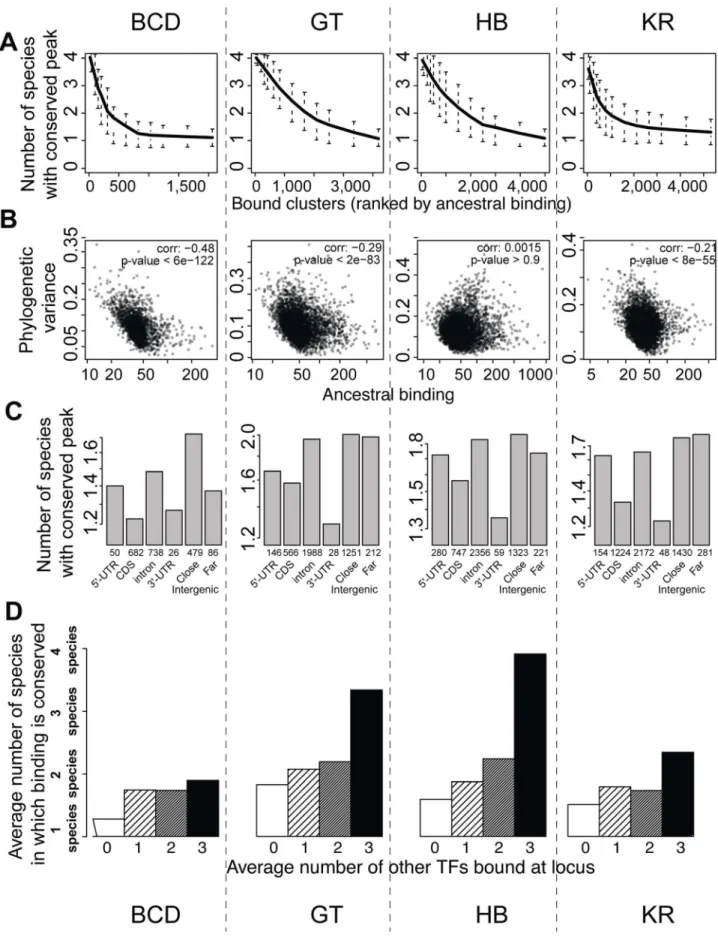 Figure 6. BCD, GT, HB and KR binding events are differentially conserved, and binding predicted to be functional is better conserved