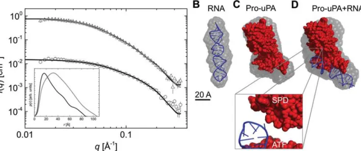 Fig 7. SAXS analysis of upanap-12.49 alone and the complex of upanap-12.49 and pro-uPA